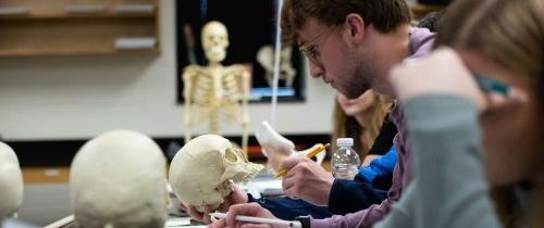 学生在法医人类学课上检查一具骨骼